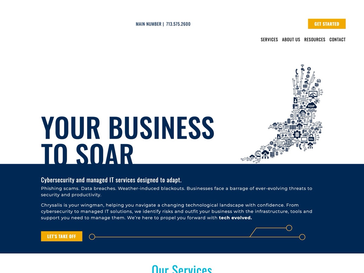 Old Chrysalis Tech Group home page with the headline Your business to soar over the technology bird illustration.