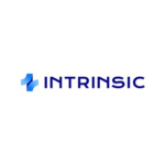 Intrinsic Brands (USA)
