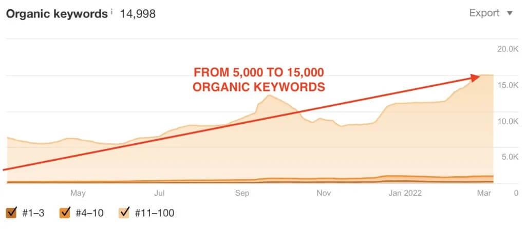 SEO for marketplace case study results 