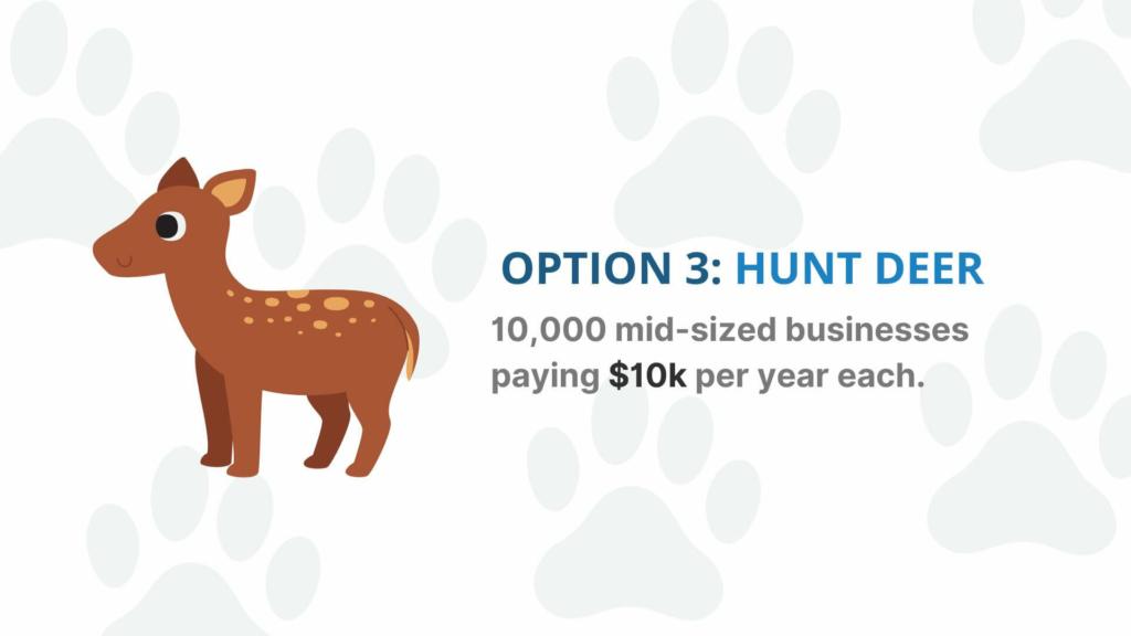 An illustration of a rabbit with the text "option 2: hunt deer - 10,000 mid-sized businesses paying $10k  per year each" written beside it. 