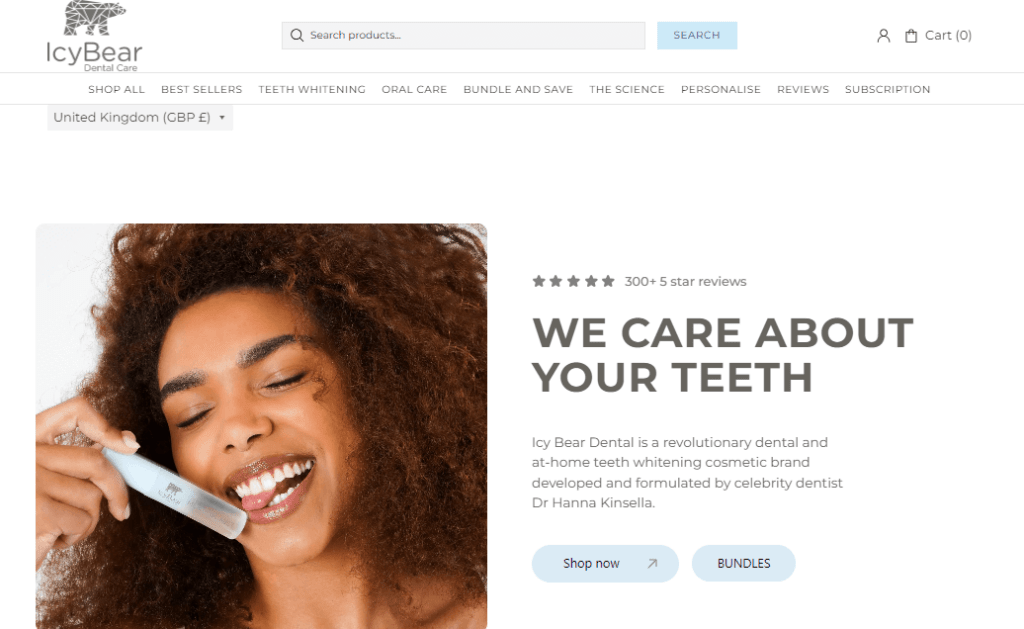 Illustration der Homepage von Icy Bear Dental