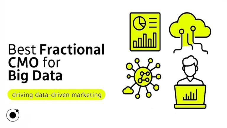 Best Fractional CMO for Big Data: Who to Hire and Why