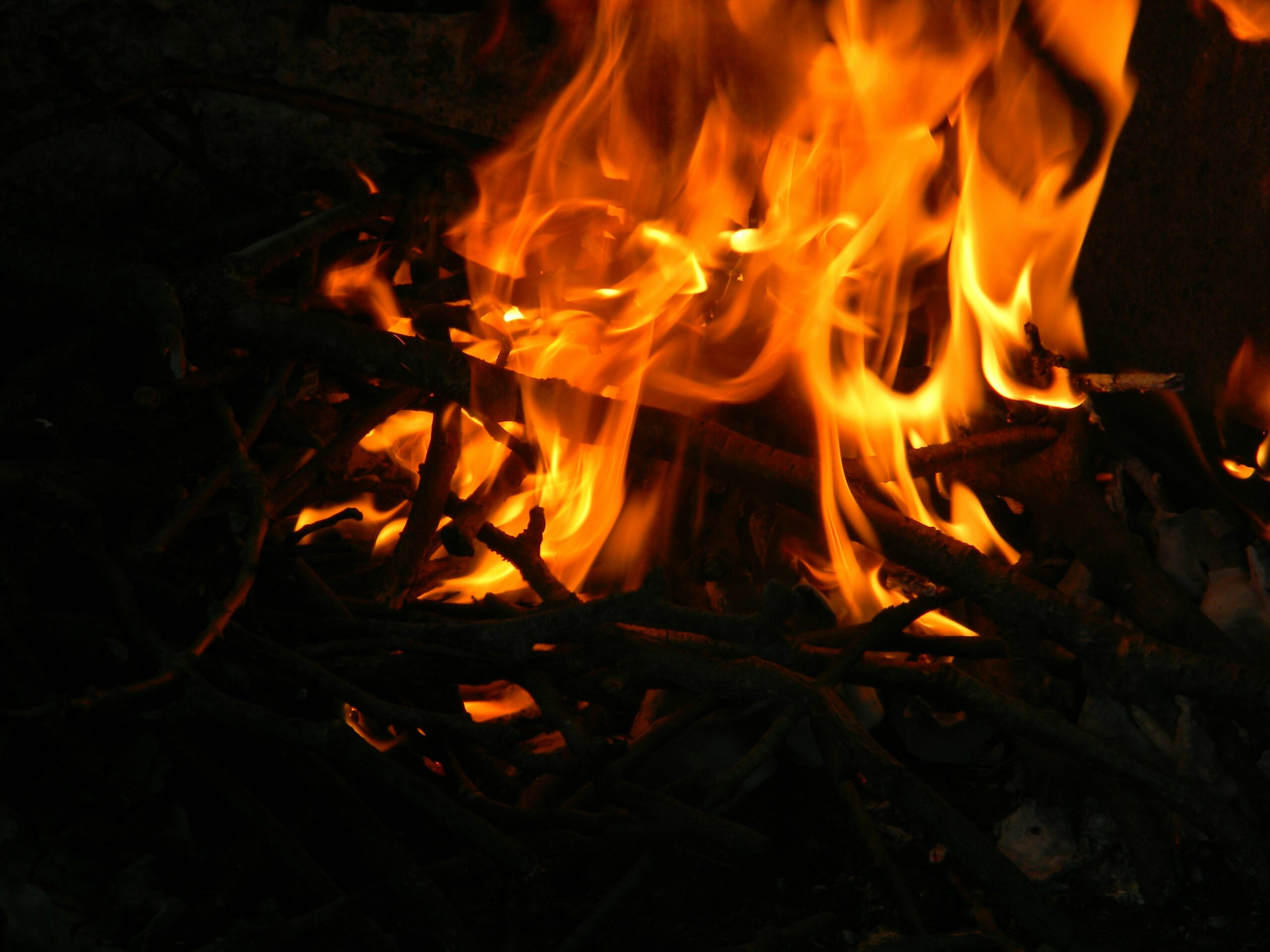 Fire Remediation SEO Companies: Driving Visibility for Restoration