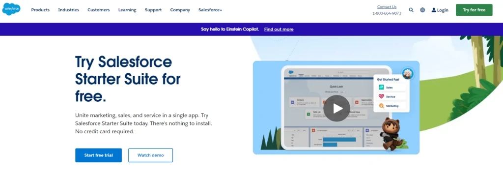 Example of B2B SaaS sales process - Salesforce